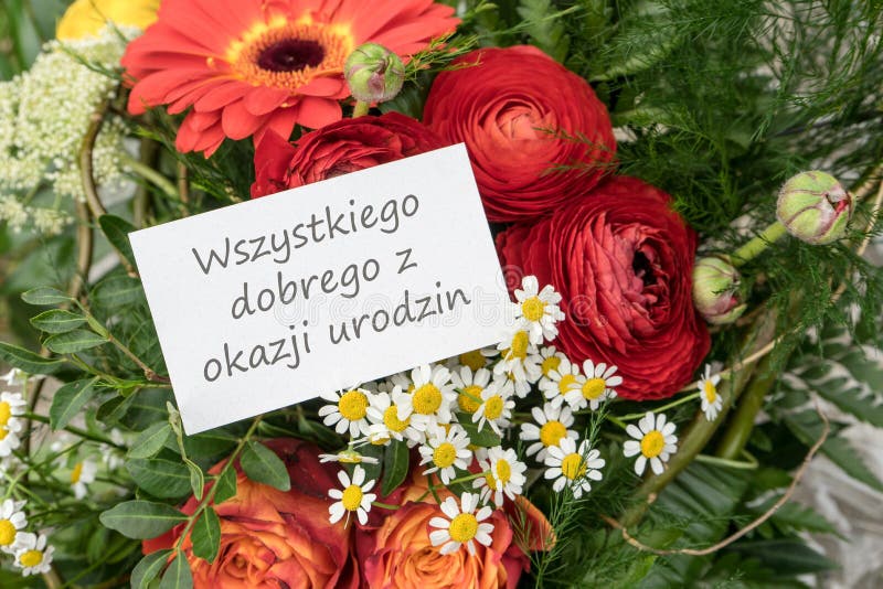 Поздравления С Днем Рождения На Чешском Языке