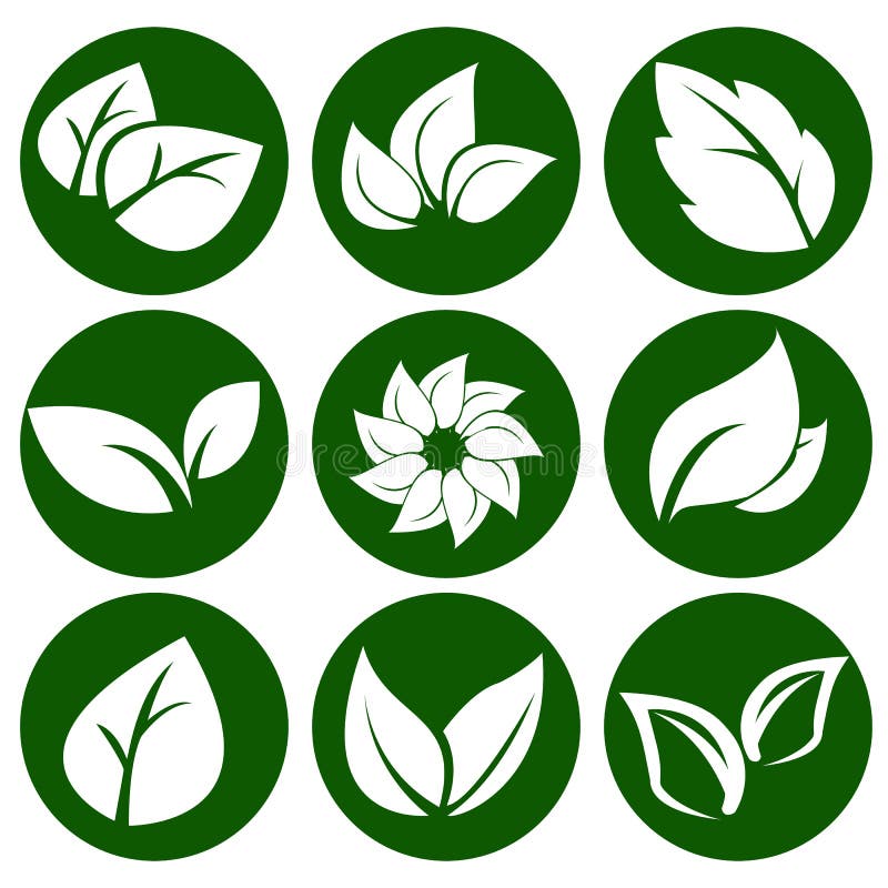 在一个圆的绿色按钮的白色叶子 eco和生物商标的元素 也corel凹道例证图片