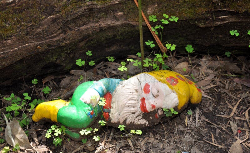 在三叶草的睡觉地精:gnomesville,西澳州 库存图片图片