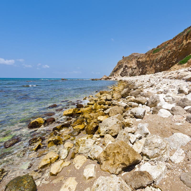 地中海的以色列岸多壁纸的海滩在以色列id.美女写真比基尼岩石图片