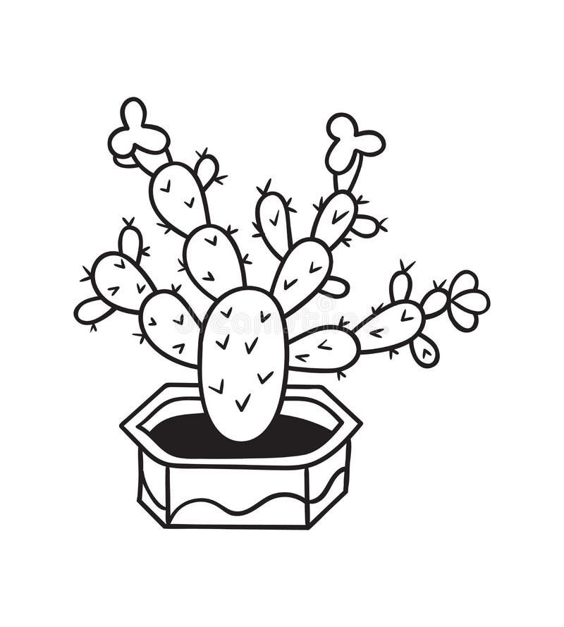 的仙人掌 也corel凹道例证向量 向量例证. 插画