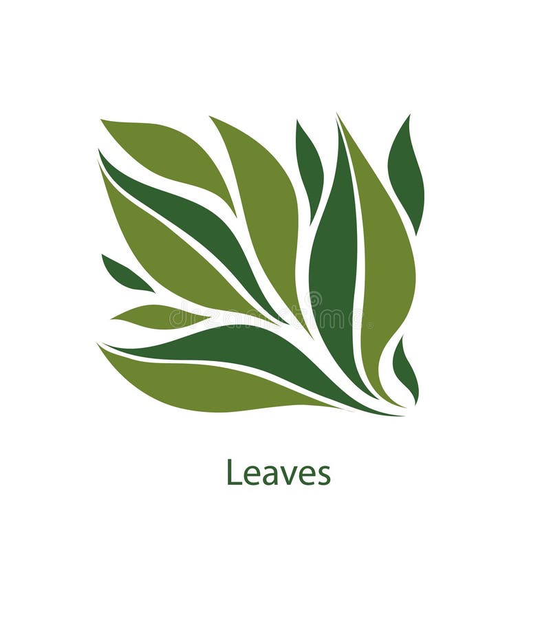 树和植物绿色叶子 eco,有机和生物商标的元素 在白色背景留下象传染图片