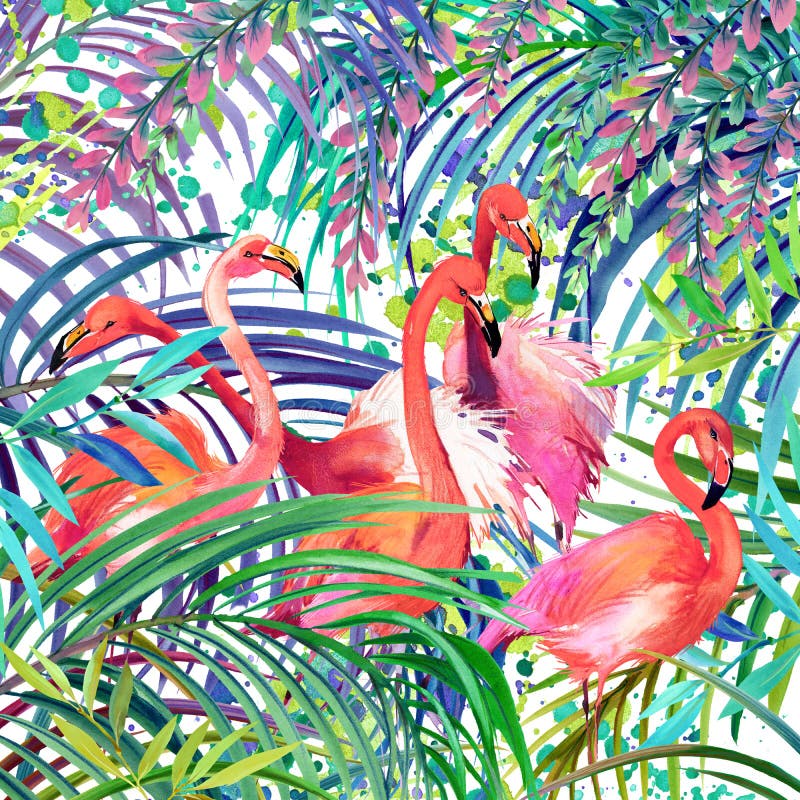 火鸟例证 热带异乎寻常的森林,绿色叶子,野生生物,鸟火鸟水彩例证图片