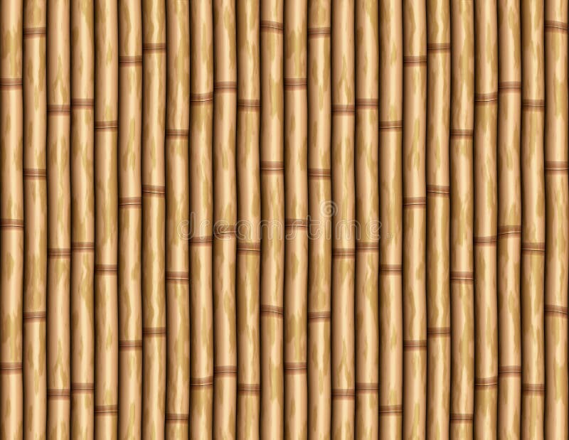 Behang Bamboe de muur van het bamboe 7760651 - Behang Bamboe
