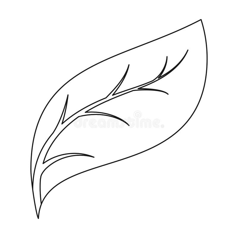 eco在白色背景在概述样式的叶子象隔绝的 生物和生态标志股票传染媒介图片
