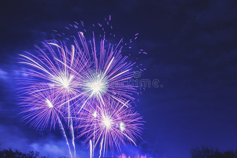 Fuegos Artificiales Brillantemente Coloridos En El Fondo Crepuscular