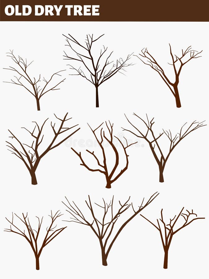 Naked Trees Silhouettes Set Old Various Dry Trees Stock Illustration