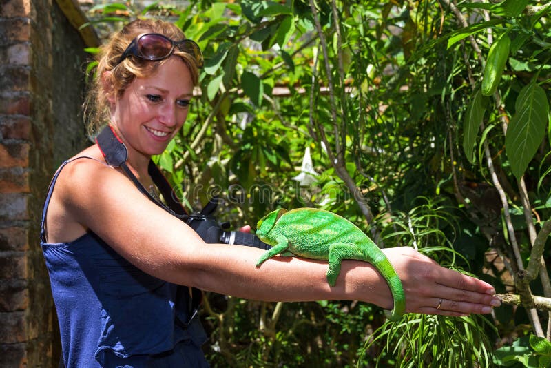 非洲映射蝴蝶, ranomafana 库存照片. 图片 包括有