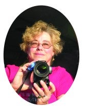 Carolyn Seelen (Cscapes) Carolyn Seelen (Cscapes)