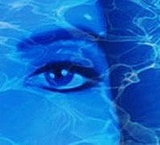 Bluedarkat Bluedarkat