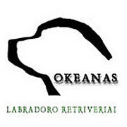 Okeanas