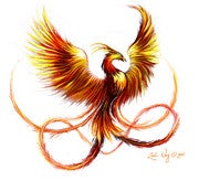 Wizphoenix Wizphoenix