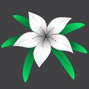 Liliwhite Liliwhite