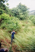 Pjirawat Pjirawat