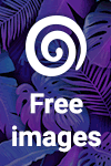 Royalty Free Images at Dreamstime