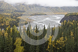 Alaska Matanuska Valley River Fall Trees