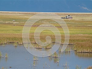 Boat on marsh or wetland