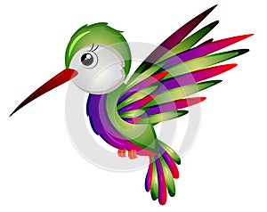 Cartoon Humming Bird Vector Illustration