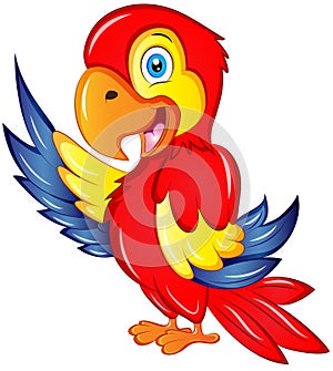 Cartoon Macaw Vector Illustration