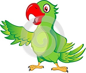 Cartoon Parrot