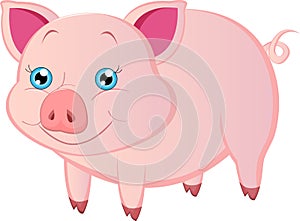 Cartoon Pig