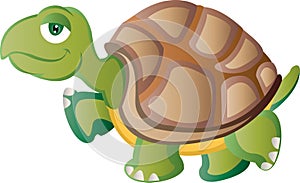 Cartoon Tortoise