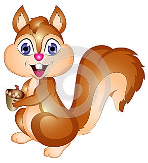 Cartoon Vector Squirrel Illustration