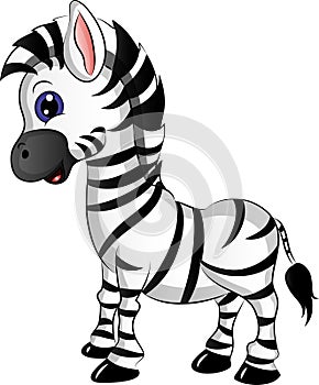 Cartoon Zebra Vector Illustration