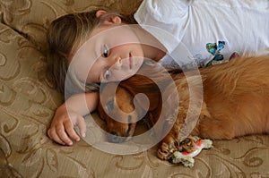 Child and a Dachshund