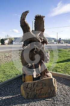 Eagle Hawk Bear Chain Saw Carving