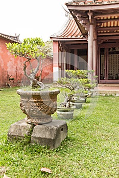 Row of bonsai trees  outside temple