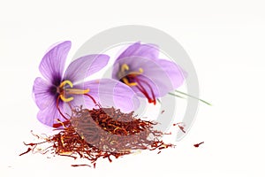 Safrangewürz und Safranblumen