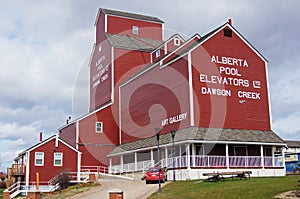 Black-Capped Chickadee Small bird in tree