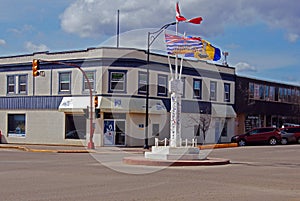 Black-Capped Chickadee Small bird in tree