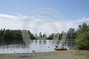 Summer Family Fun Day Reflections Lake Alaska