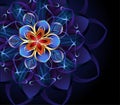 Abstract Blue Flower