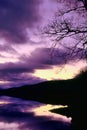 Abstract Purple Loch Background
