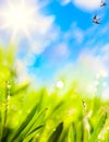 Abstracts Of Natural Spring Ba...