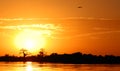 African Landscape