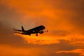 Aircraft Silhouette