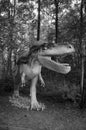 Albertosaurus. Model of dinosaur in Jurassic park in Poland.
