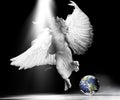 Angel Earth
