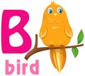 Animal Alphabet B