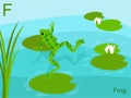 Animal Alphabet Flash Card, F ...