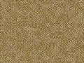 Animal Fur Texture- Jaguar