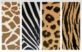 Animal Print