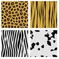 Animal Skin Patterns