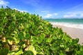 Anse de Sables Beach - Saint Lucia