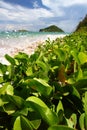 Anse de Sables Beach - St Lucia