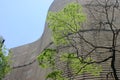 Architecture In Sao Paulo